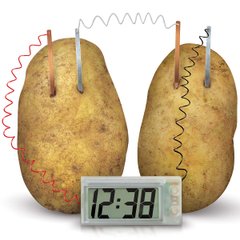 Set for experiments 4M Potato clock (00-03275)