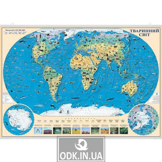 World. Animal map. 100x70 cm. M 1:35 500 000. Paper, lamination, laths (4820114952240)
