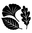 Гербарії