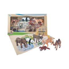 Educational Game Set - Animals of Asia