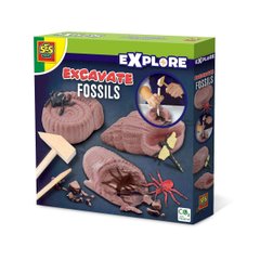 Researcher Series Set - Fossil Insect Excavations