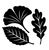 Гербарії