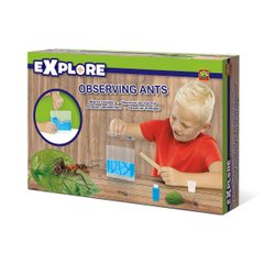 Game Set for Young Zoologist - Ant Farm