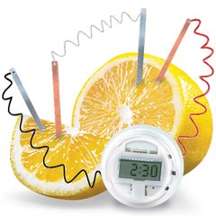 4M Lemon Watch Research Kit (00-03306)