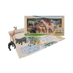 Educational Game Set - Arctic Animals S2