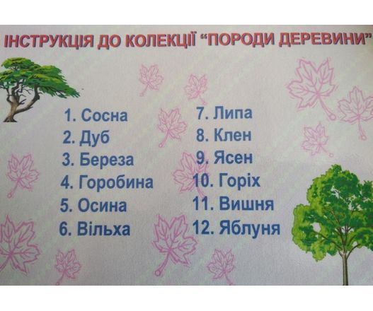 Колекція видів деревини
