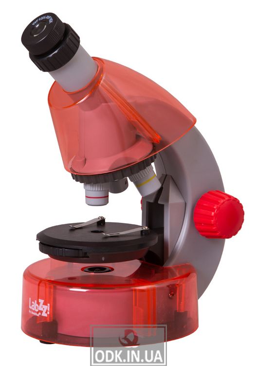Микроскоп Levenhuk LabZZ M101 Orange\Апельсин