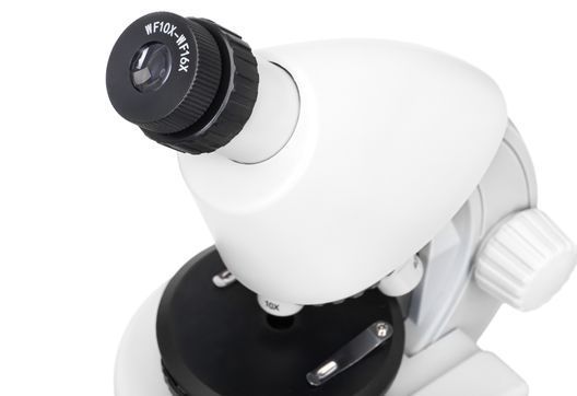 Мікроскоп Discovery Micro Polar з книгою