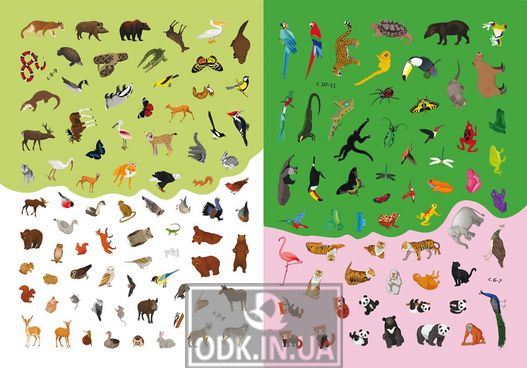 Book with stickers. Animals