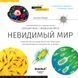Мікроскоп Discovery Micro Polar з книгою