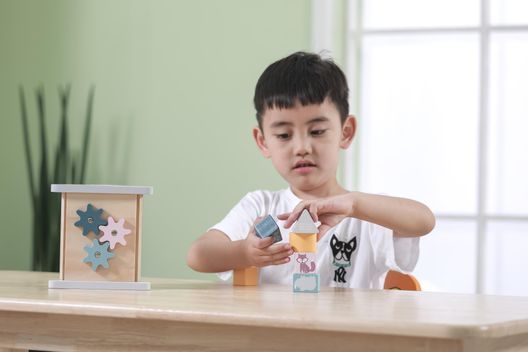 Дерев'яний сортер Viga Toys PolarB Розвиток 5 в 1 (44007)