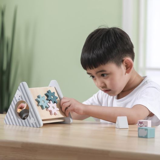 Дерев'яний сортер Viga Toys PolarB Розвиток 5 в 1 (44007)
