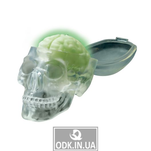 Світний череп 4M (00-03313)