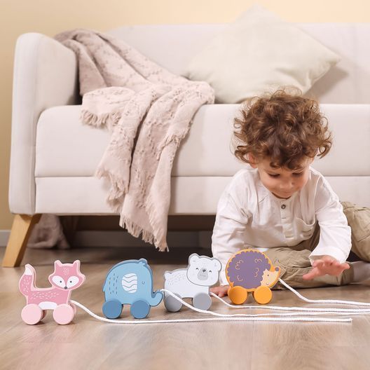 Дерев'яна каталка Viga Toys PolarB Їжачок (44003)