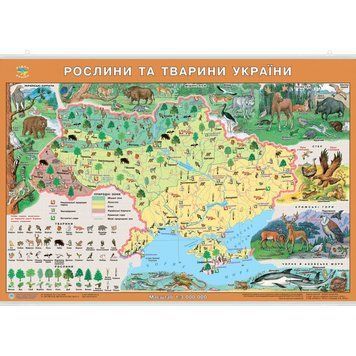 Рідна Країна. Рослини та тварини України. 65х45 см. М 1:2 500 000. Картон, планки (4820114950383)