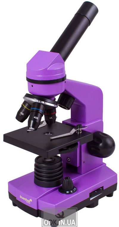 Microscope Levenhuk Rainbow 2L Amethyst \ Amethyst