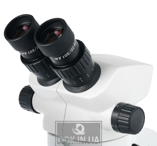 Levenhuk ZOOM 1B microscope, binocular