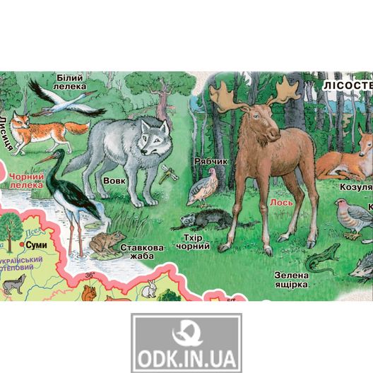 Native country. Plants and animals of Ukraine. 65х45 cm. M 1: 2 500 000. Cardboard, laths (4820114950383)