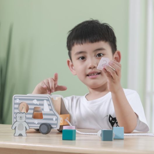 Дерев'яна каталка-сортер Viga Toys PolarB Вантажівка (44041)