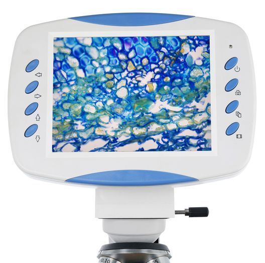 Мікроскоп цифровий Levenhuk D80L LCD, монокулярний