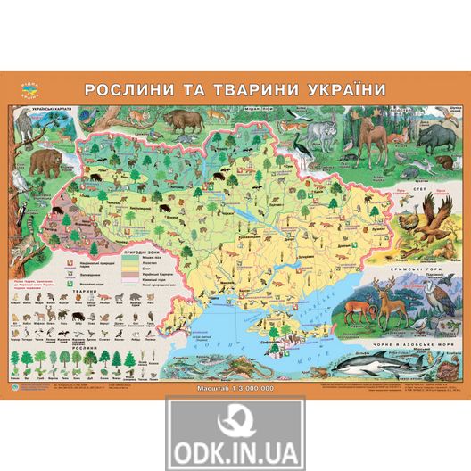 Native country. Plants and animals of Ukraine. 65х45 cm. M 1: 2 500 000. Cardboard, lamination (4820114950420)