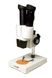 Levenhuk 2ST microscope, binocular