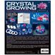Set for cultivation of crystals 4M with illumination (00-03920 / US)
