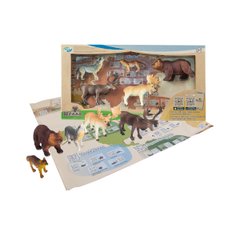 Educational Game Set - Animals of Europe