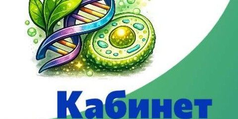 Кабинет биологии