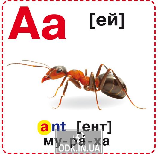 Smart cards. English alphabet. ABC. 18 cards