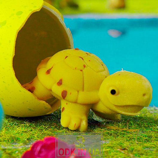 Growing toy in an egg - Crocodiles and turtles