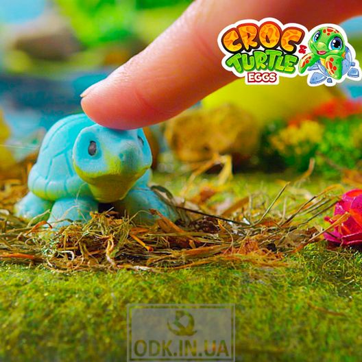 Growing toy in an egg - Crocodiles and turtles