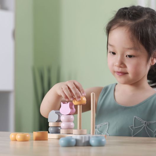 Дерев'яний сортер-пірамідка Viga Toys PolarB Звірята (44022)