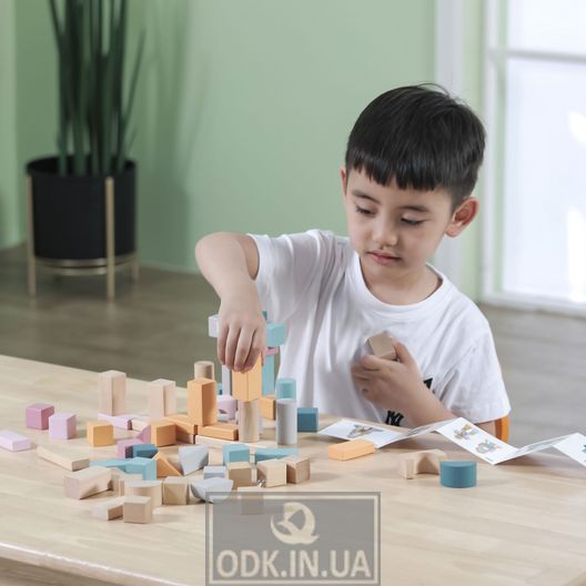 Деревянные кубики Viga Toys PolarB Пастельные блоки, 60 шт., 2,5 см (44010)