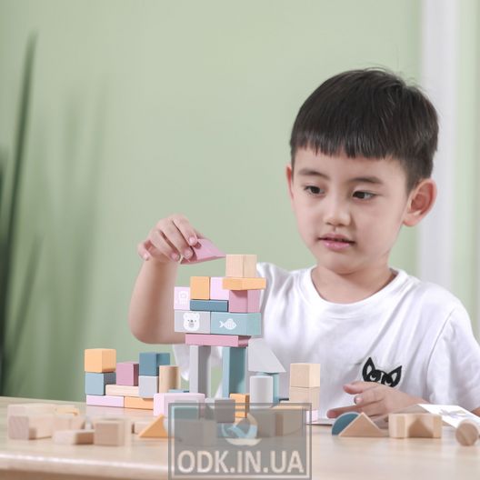 Wooden cubes Viga Toys PolarB Pastel blocks, 60 pieces, 2,5 cm (44010)