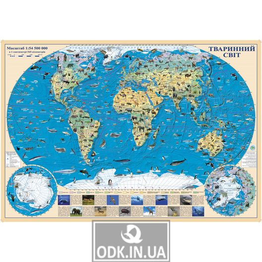 World. Animal map. 65x45 cm. M 1:54 500 000. Cardboard, lamination (4820114954381)