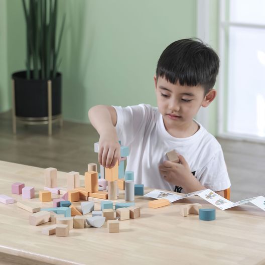 Дерев'яні кубики Viga Toys PolarB Пастельні блоки, 60 шт., 2,5 см (44010)