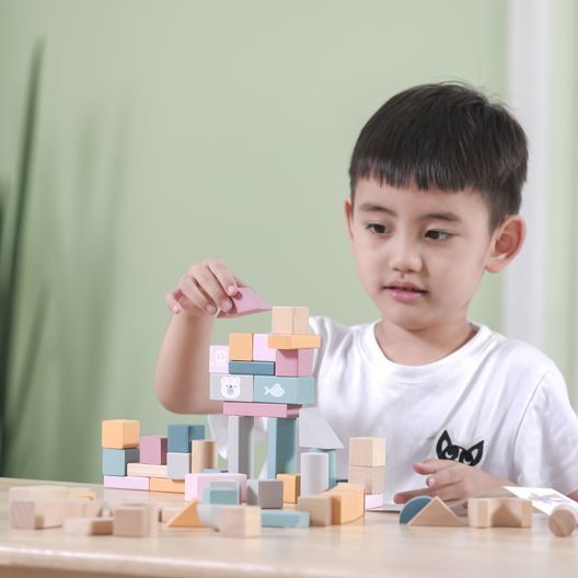 Дерев'яні кубики Viga Toys PolarB Пастельні блоки, 60 шт., 2,5 см (44010)