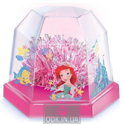 Set for cultivation of 4M Disney Ariel crystals (00-06217 / EU)