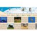 World. Animal map. 65x45 cm. M 1:54 500 000. Cardboard, planks (4820114954350)