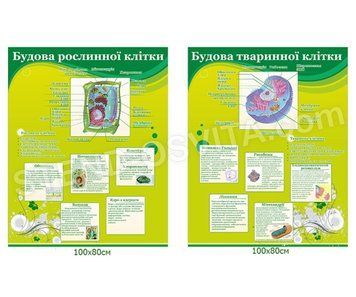Комплект стендів &laquo;Будова рослинної та тваринної клітин&raquo;