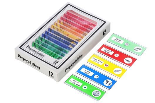 Мікроскоп цифровий Levenhuk LabZZ DM200 LCD