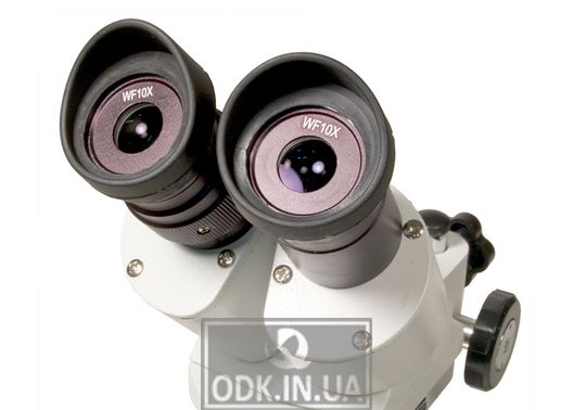 Levenhuk 3ST microscope, binocular