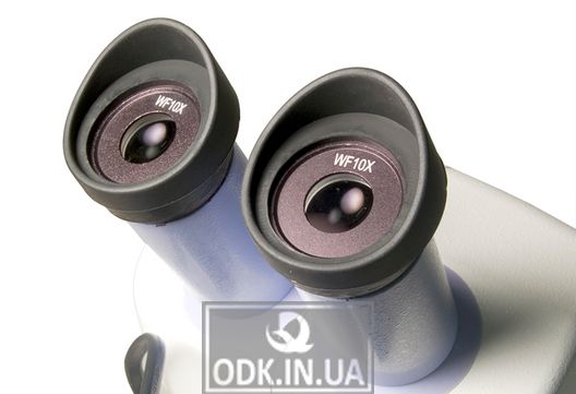 Levenhuk 5ST microscope, binocular