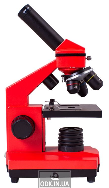 Microscope Levenhuk Rainbow 2L PLUS Orange \ Orange