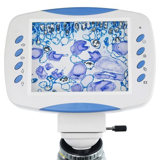 Мікроскоп цифровий Levenhuk D90L LCD, монокулярний