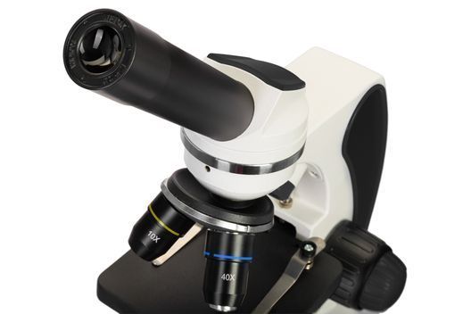 Мікроскоп Discovery Pico Polar з книгою