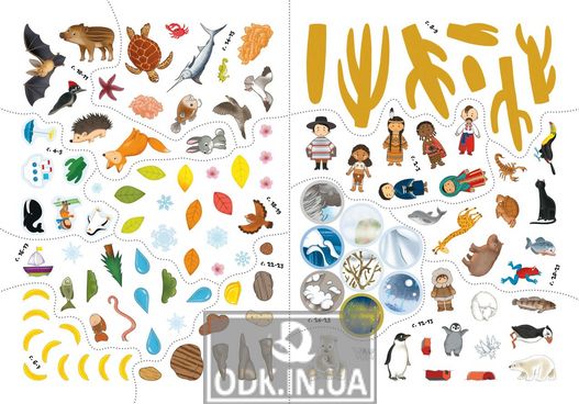 Chomuchki school. Fascinating geography. 117 developmental stickers