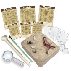 Set for excavations of insects 4M (00-03397)