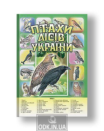 Birds of the forests of Ukraine. Visibility kit.